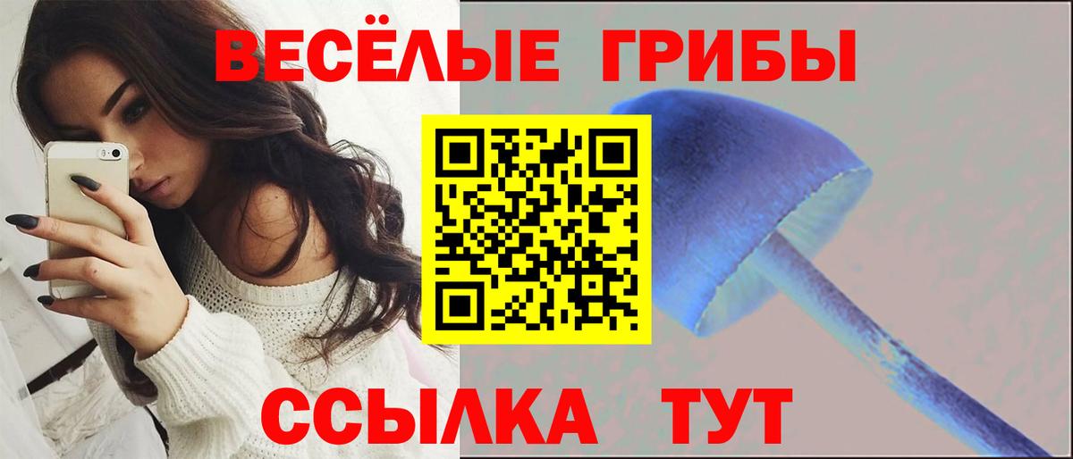 Галлюциногенные грибы Psilocybe  Вход с VPN  Галлюциногенные грибы прущие грибы  Светлоград 