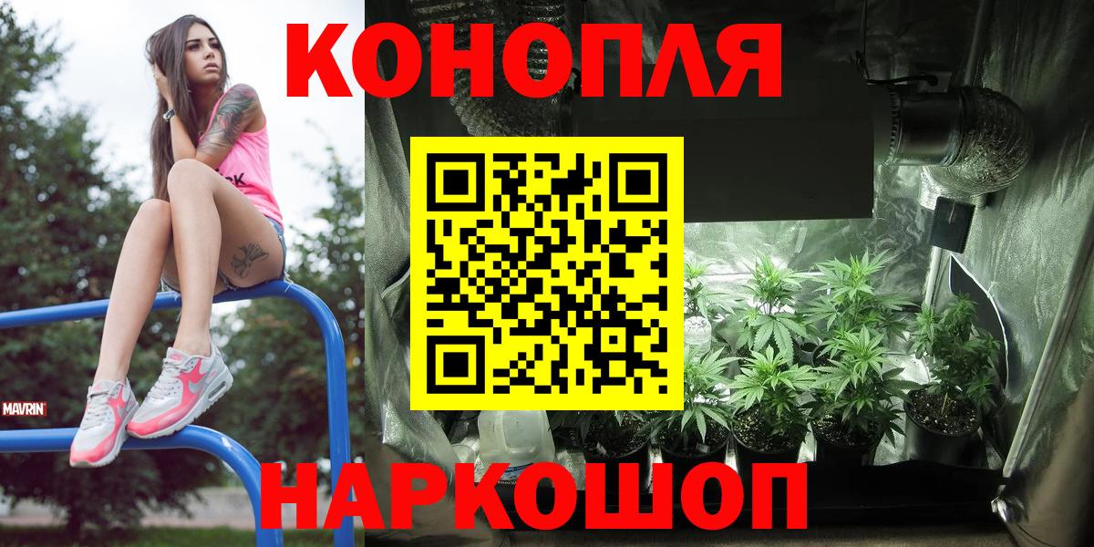 Каннабис планчик Светлоград
